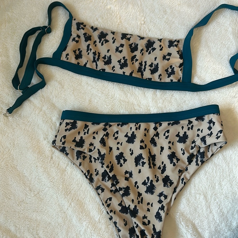 Two piece cheetah print swimsuit